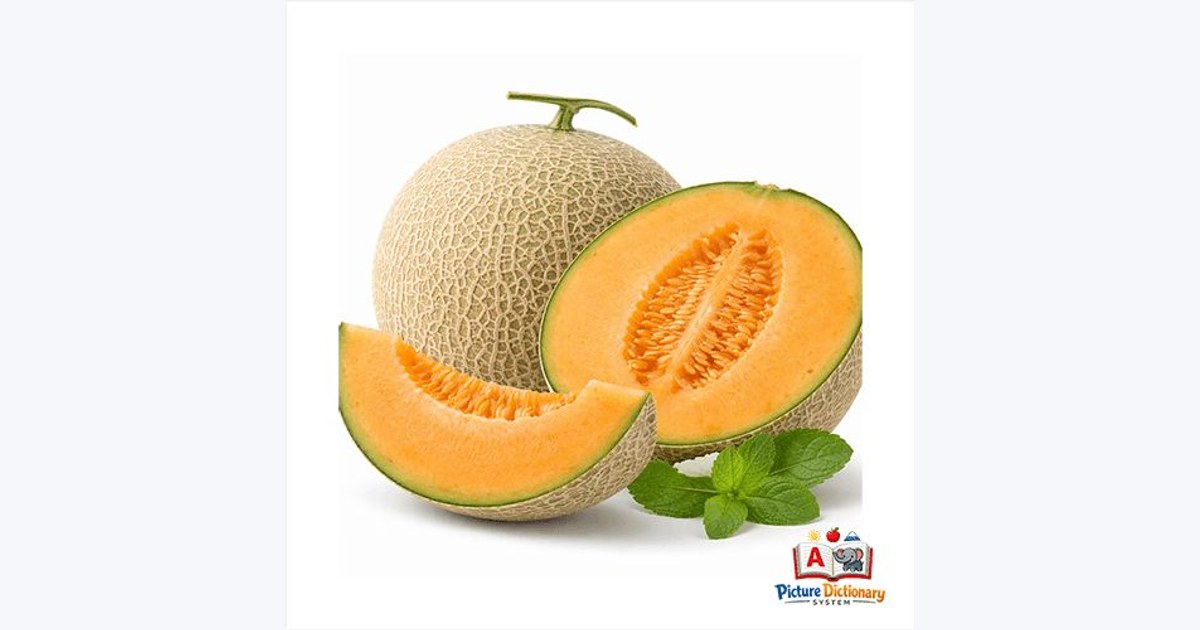 Cantaloupe