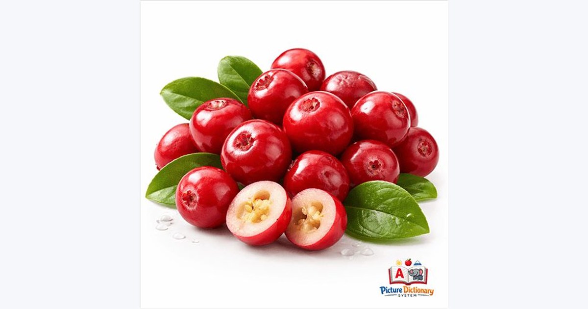 Cranberry
