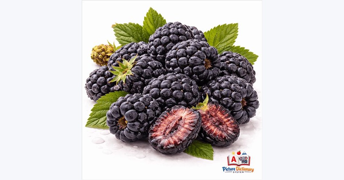 Dewberry