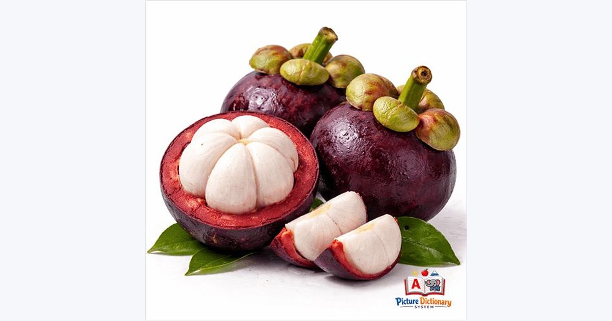 Mangosteen