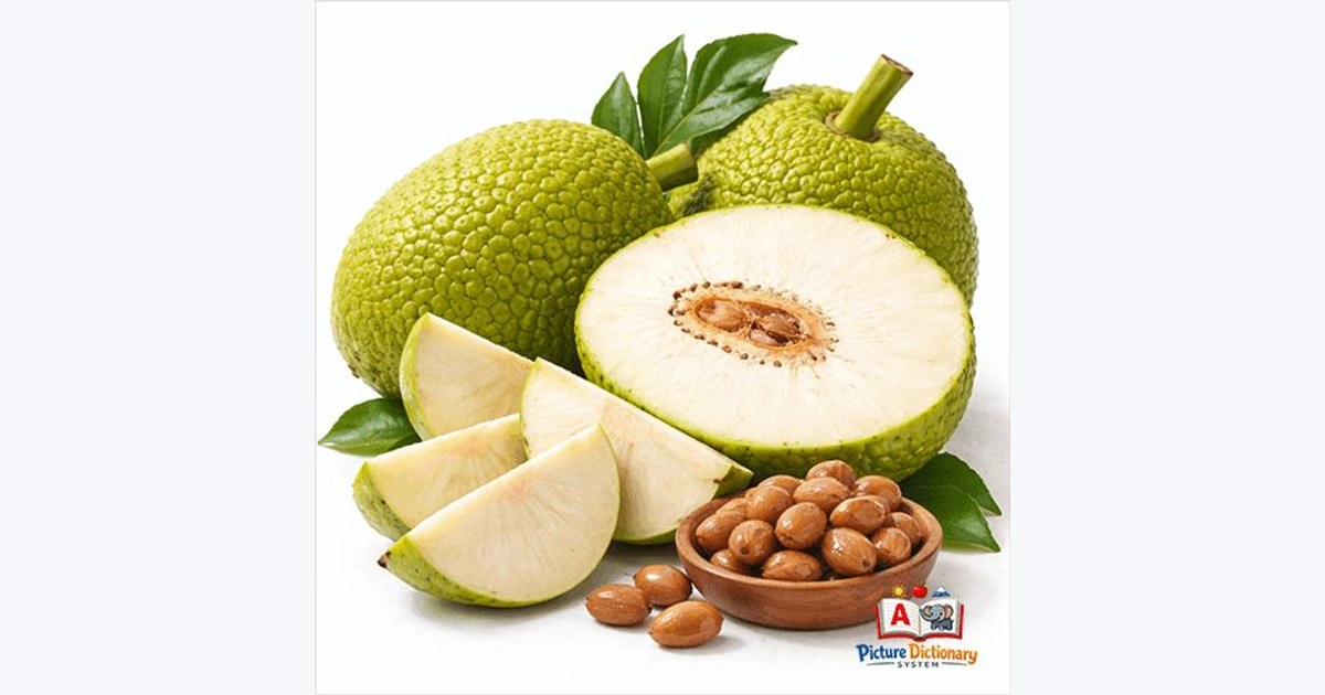 Breadfruit