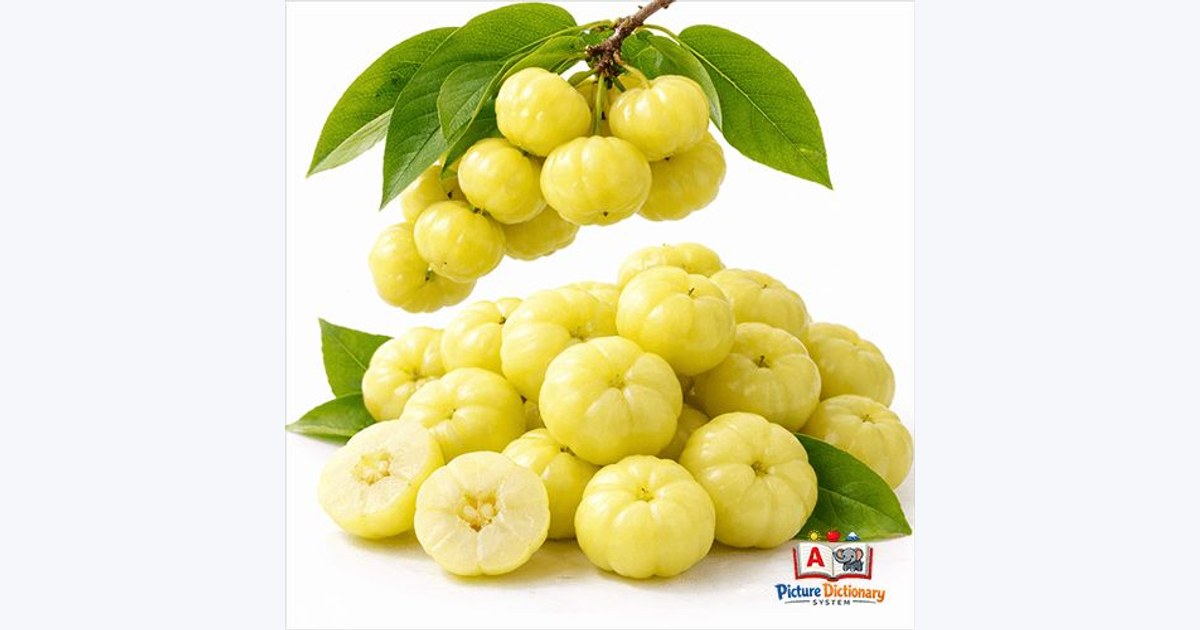 Star Gooseberry / Malay Gooseberry