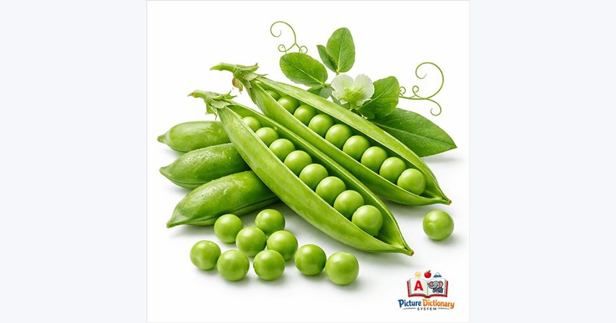 Pea