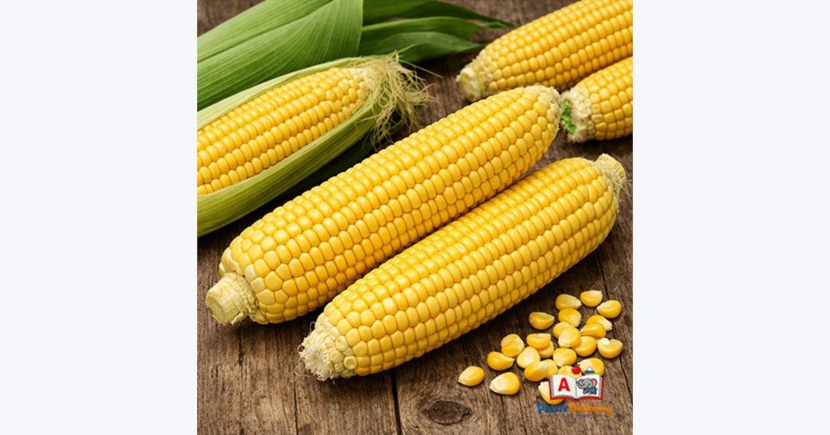 Corn