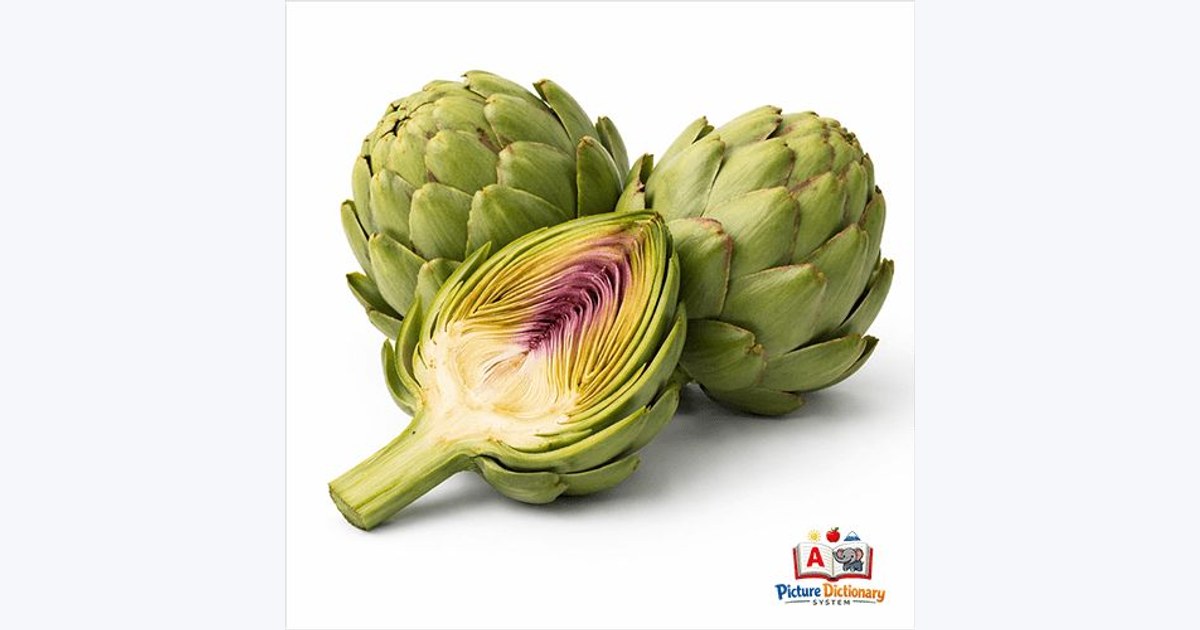 Artichoke