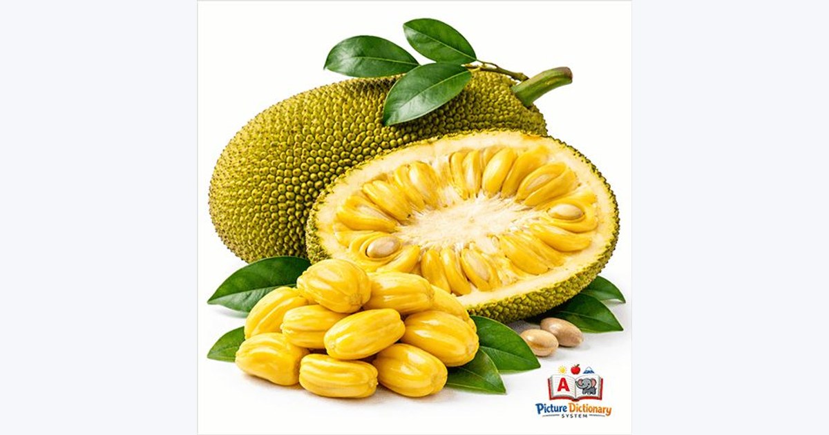 Jackfruit