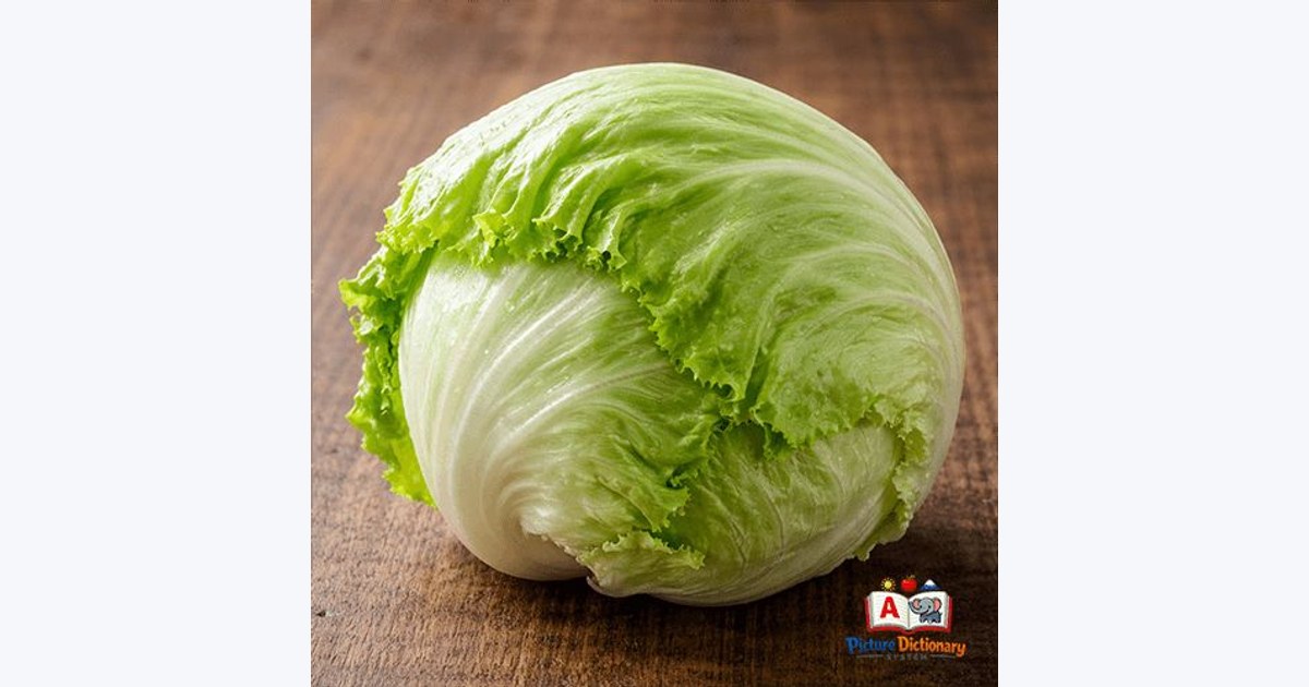 Iceberg Lettuce