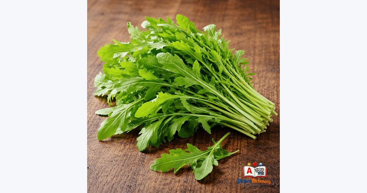 Arugula / Rocket