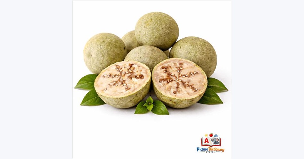 Wood Apple