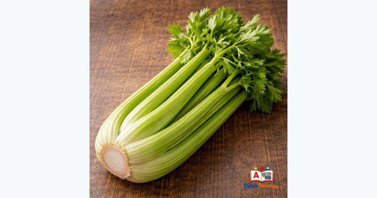 Celery