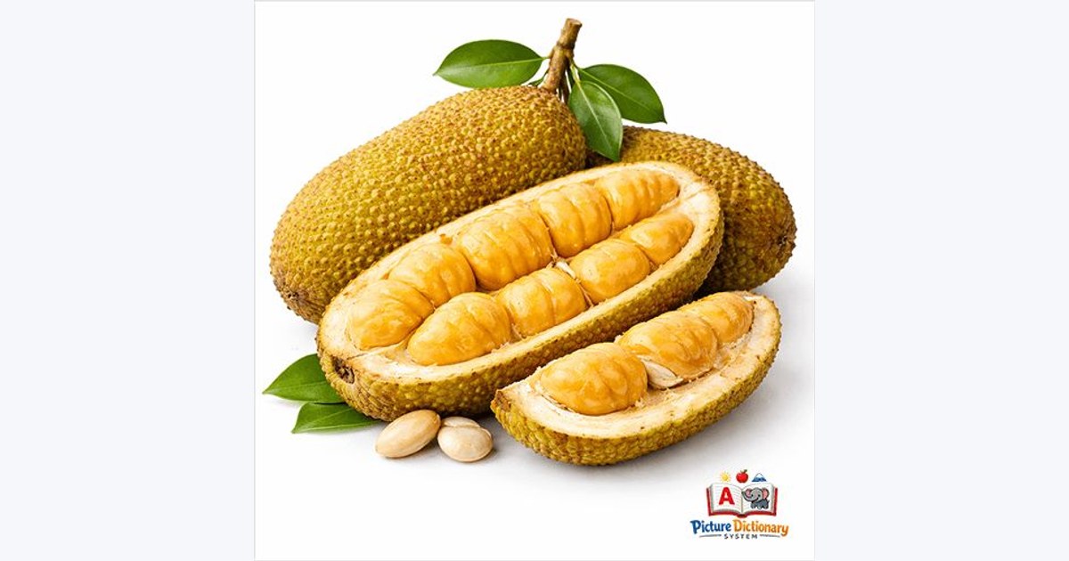 Cempedak