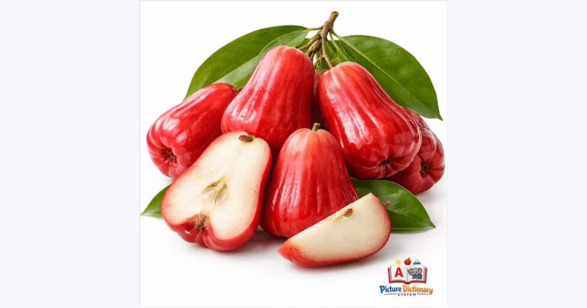 Wax Apple / Java Apple