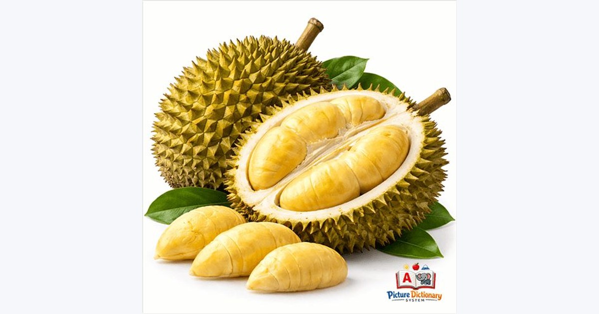 Durian / King of Fruits