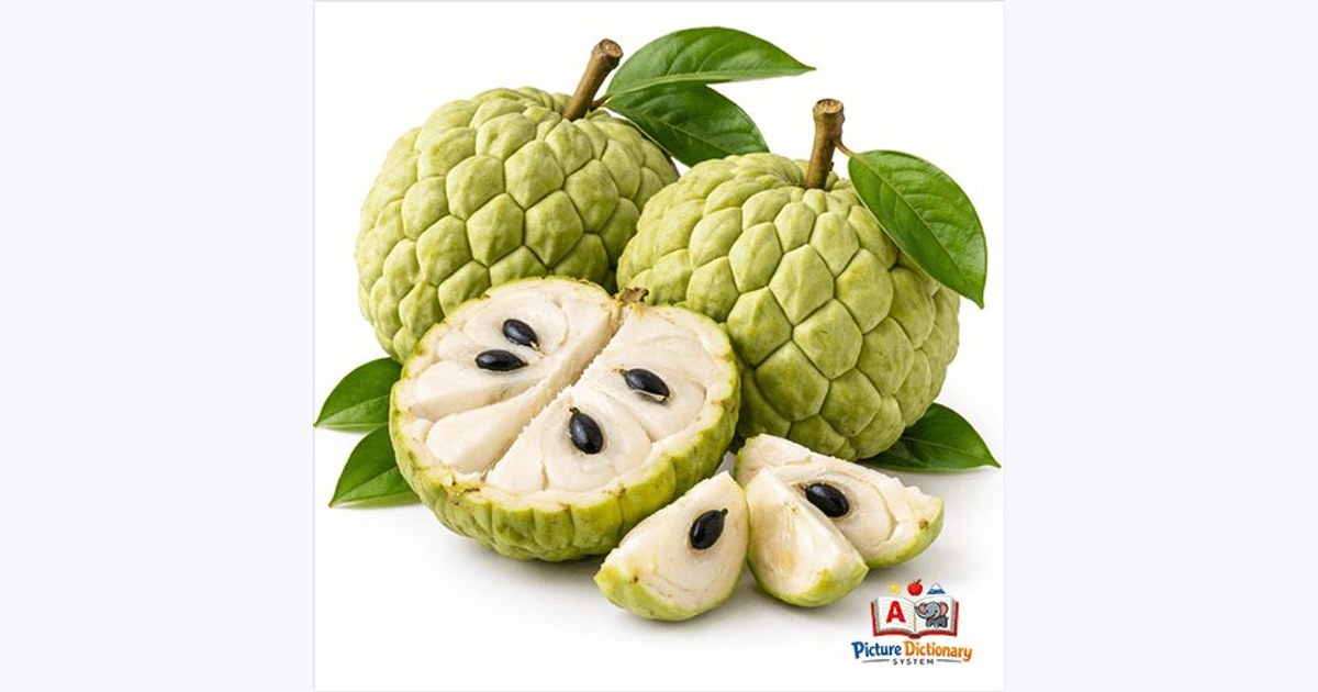 Sugar-apple / Sweetsop