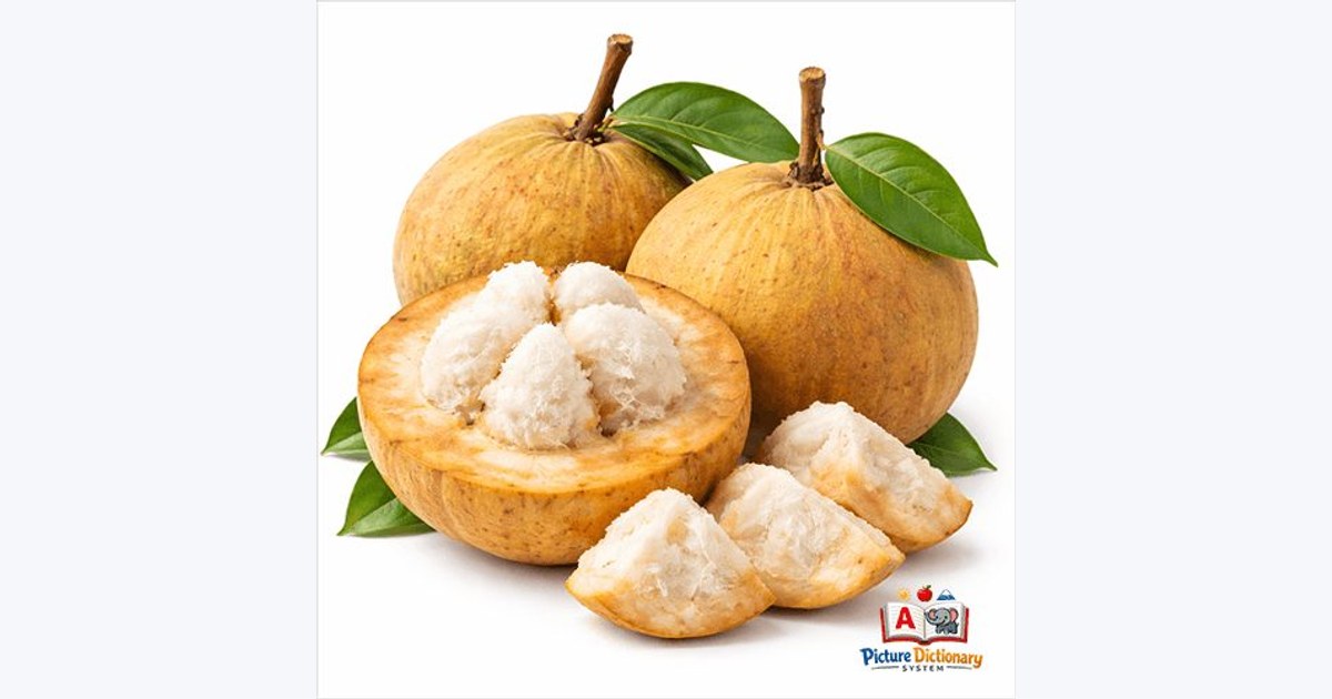 Santol / Cotton Fruit