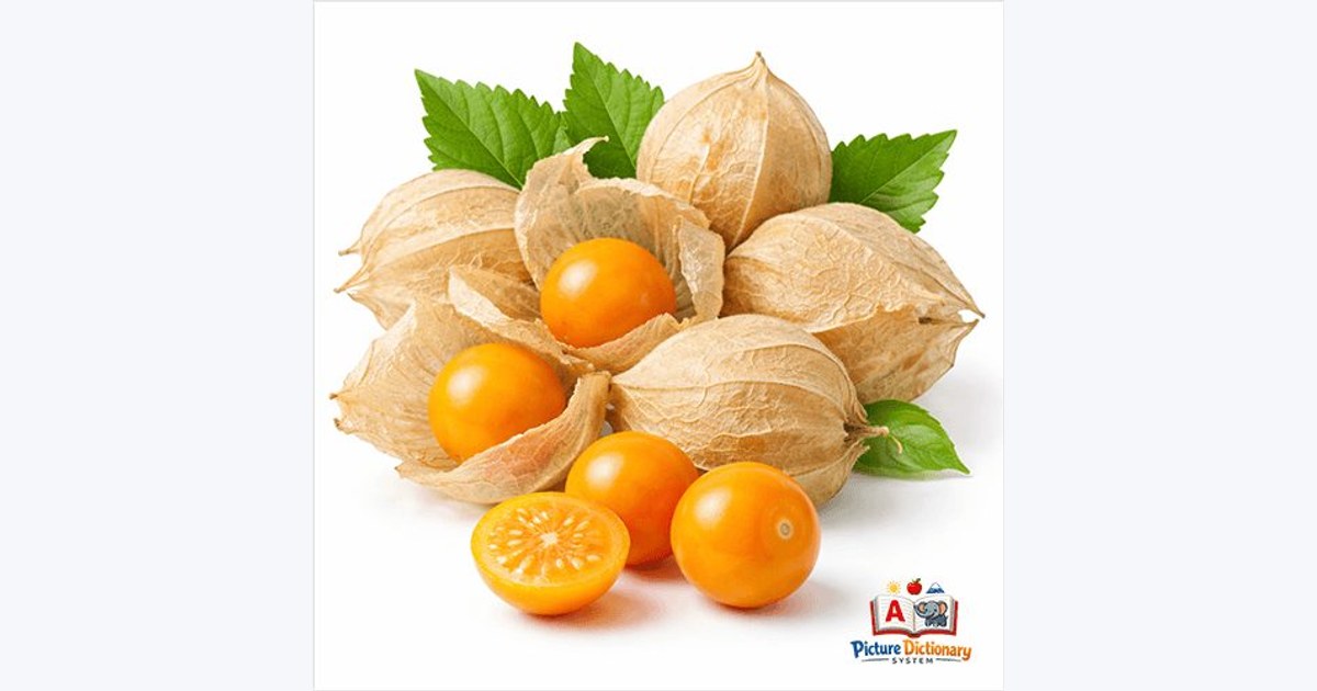 Groundcherry / Golden Berry / Cape Gooseberry