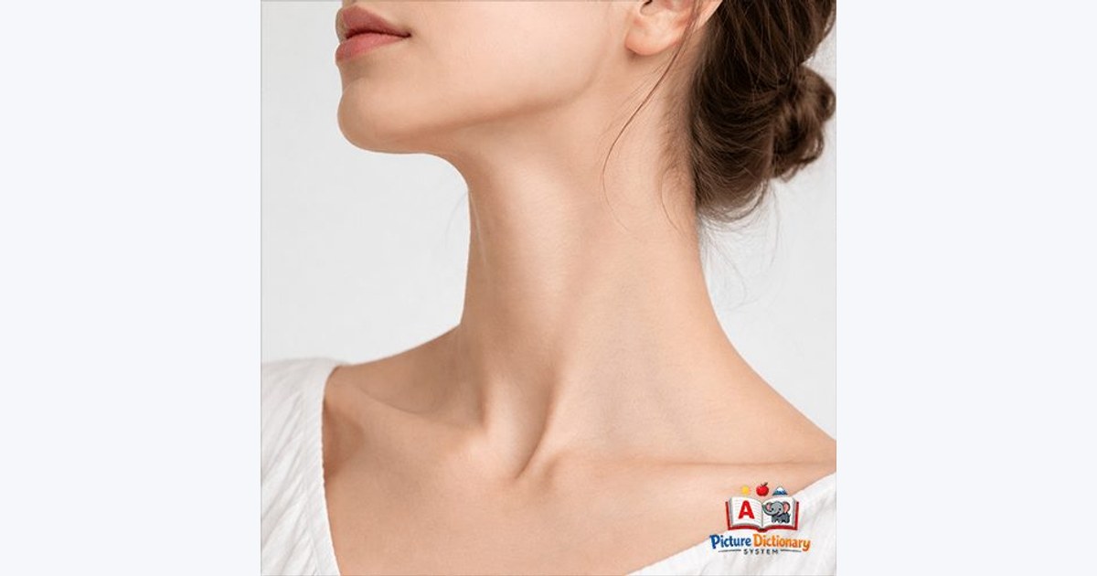 Neck