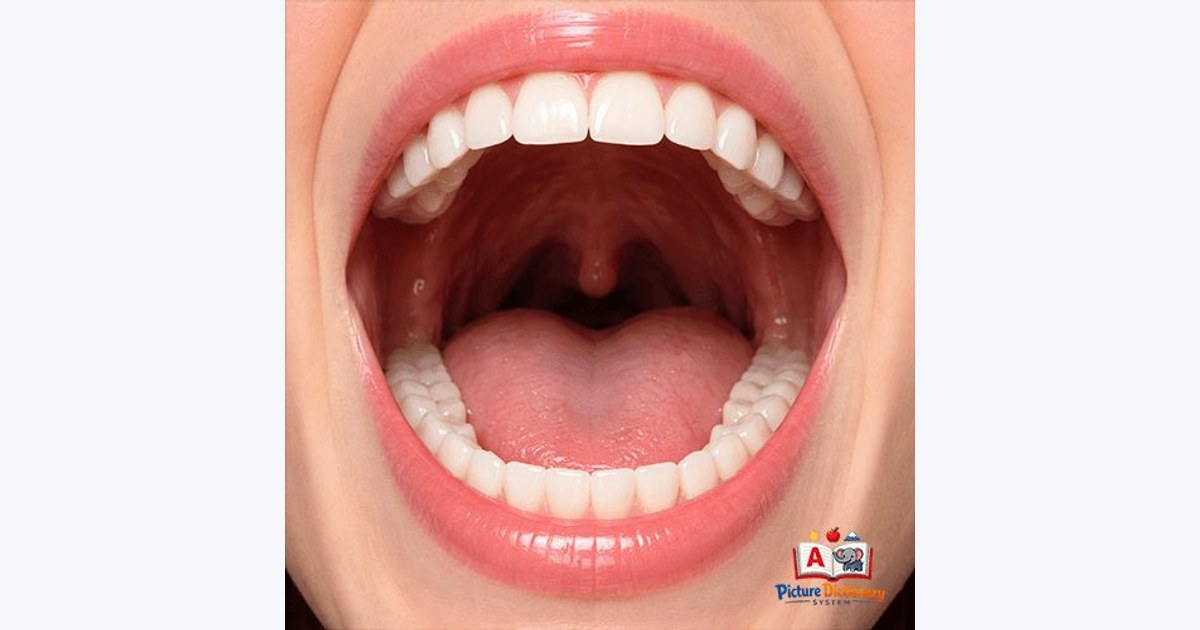 Mouth