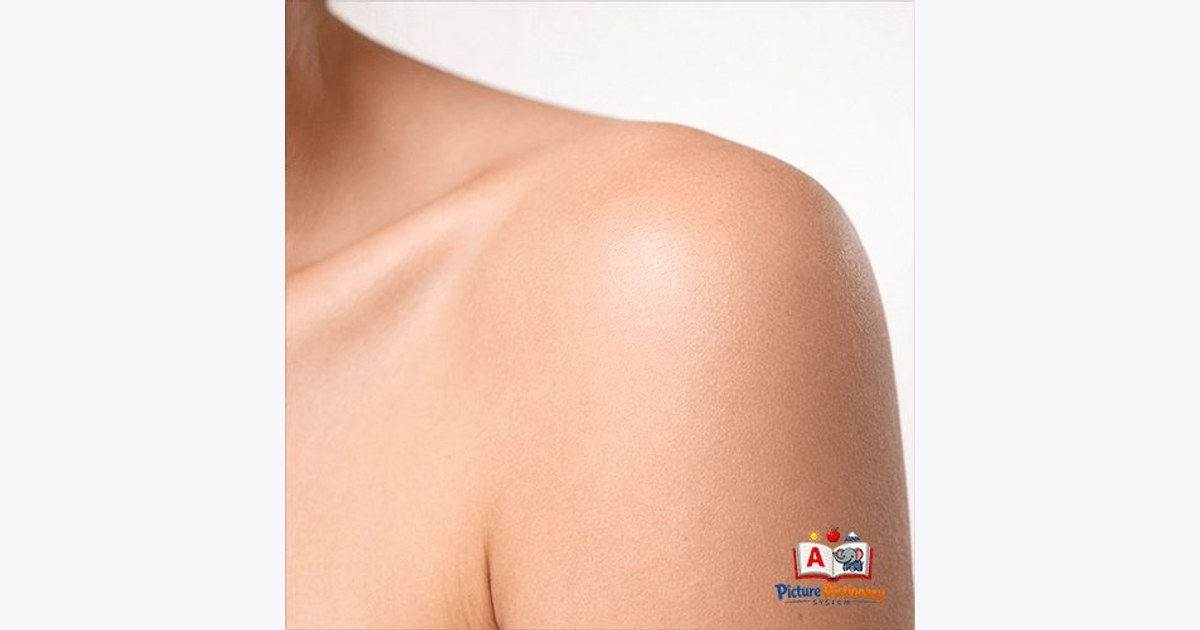 Shoulder
