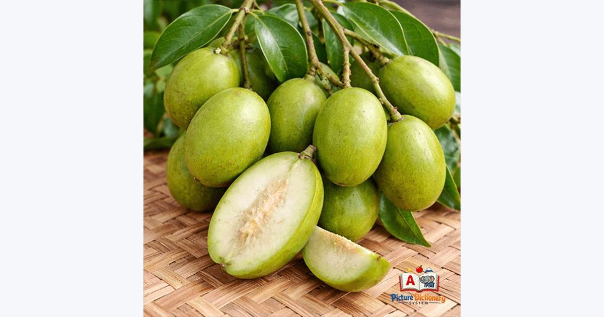 Hog plum