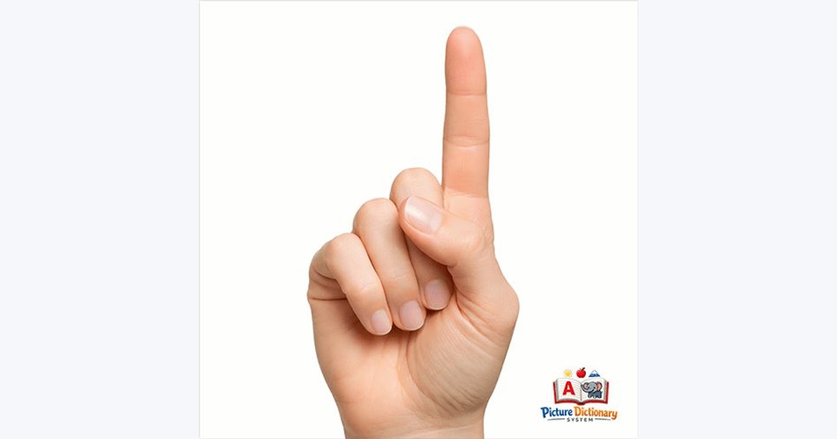 Finger