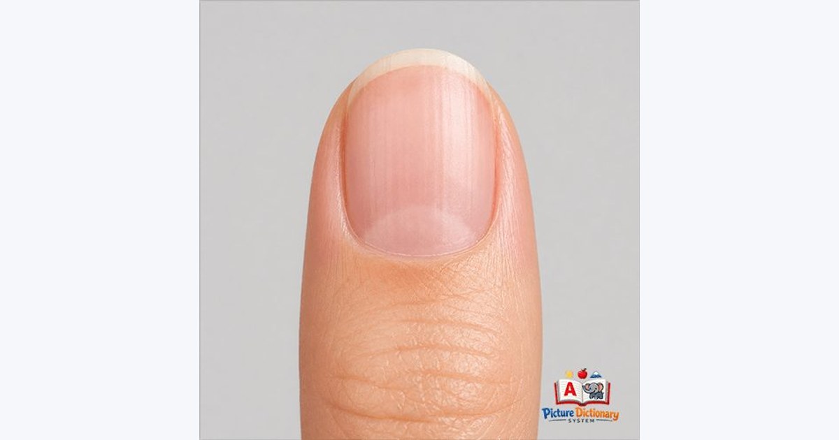 Nail