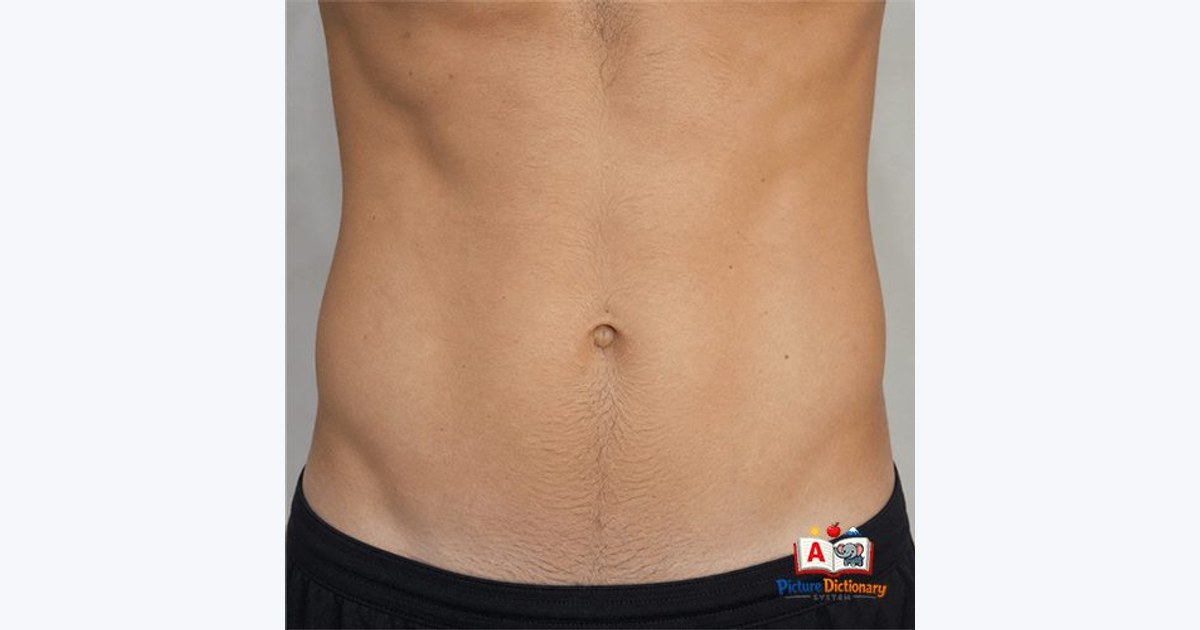 Abdomen