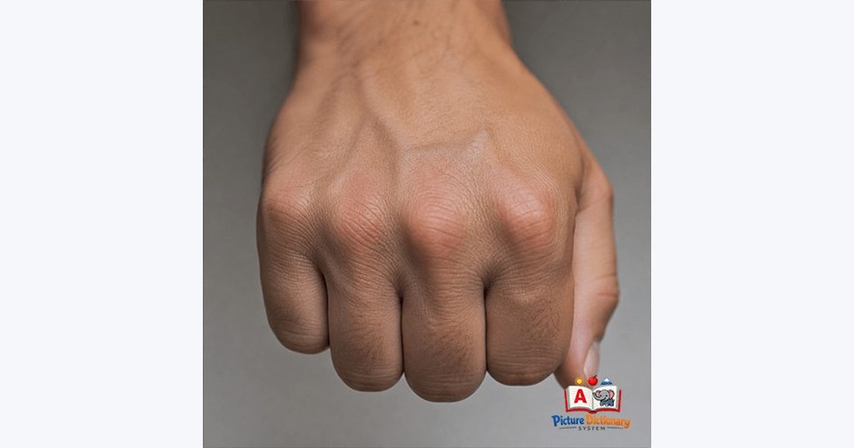 Knuckle