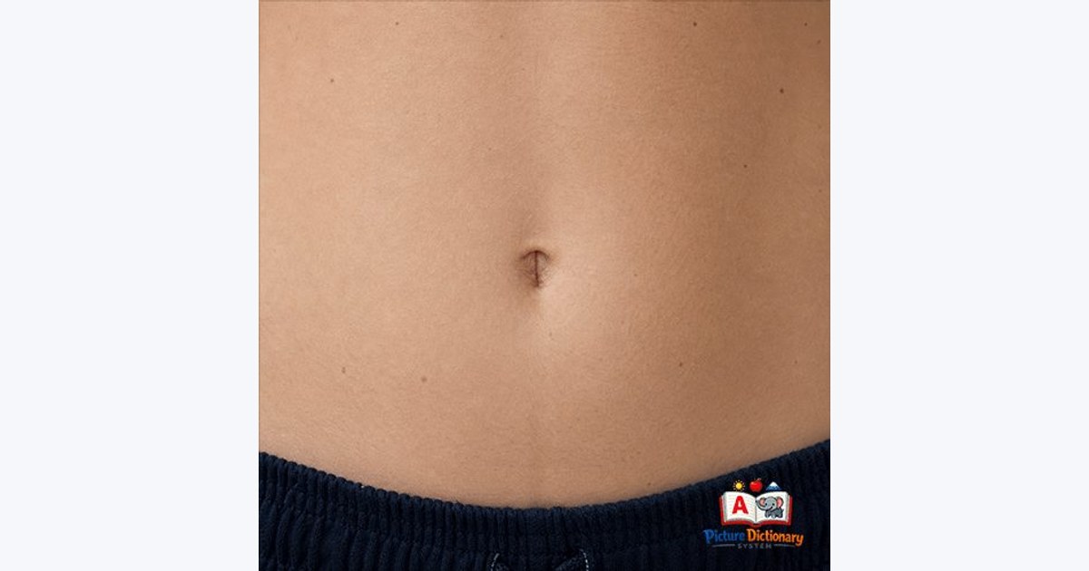 Belly button